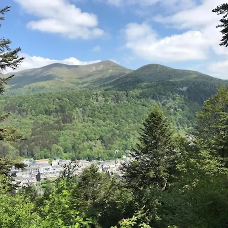 Appartamento Mont-dore, 3 Pièces, 4 Personnes - Fr-1-608-194